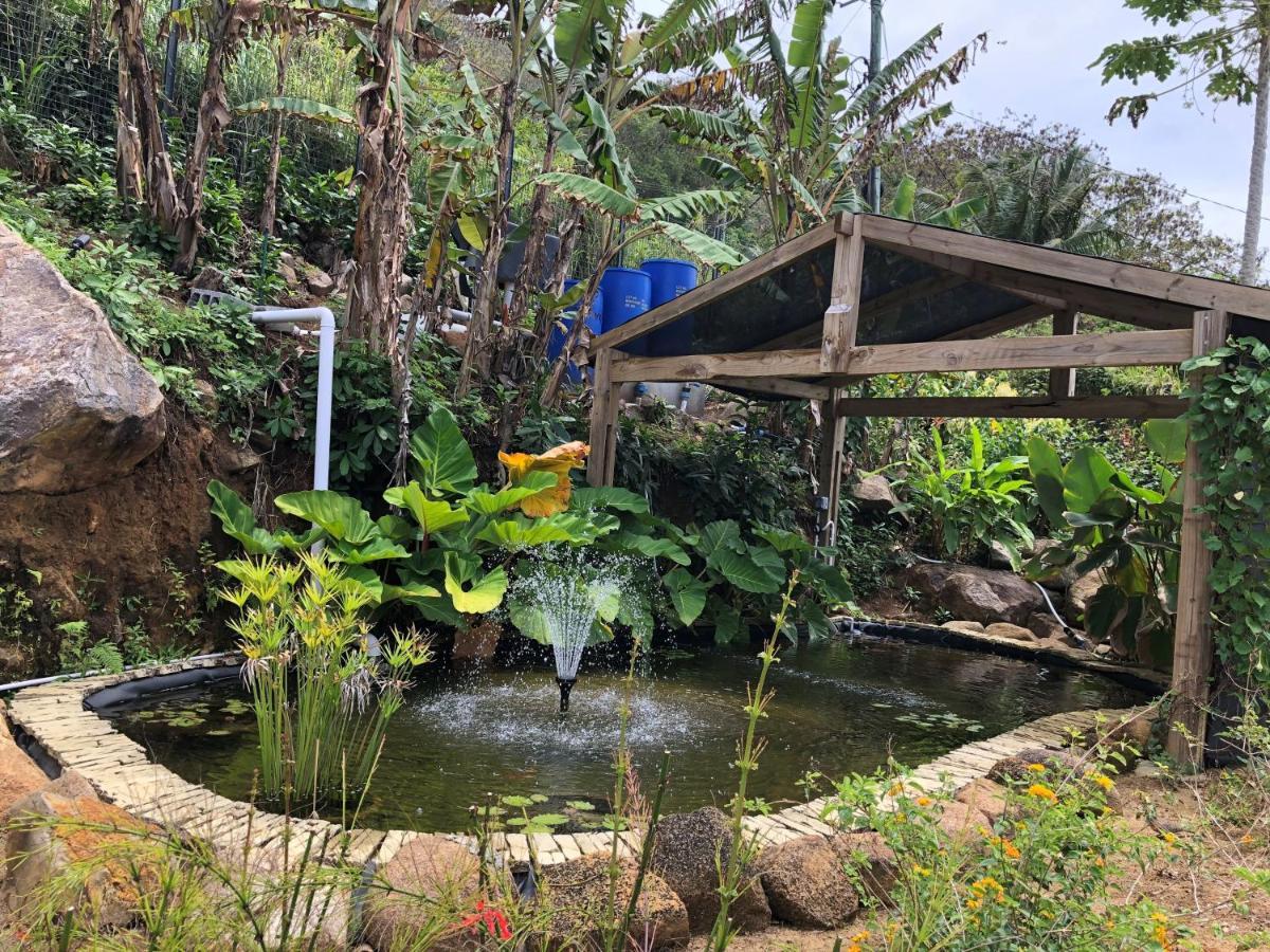 Paradise Chalets Yoga & Wellness タカマカ エクステリア 写真