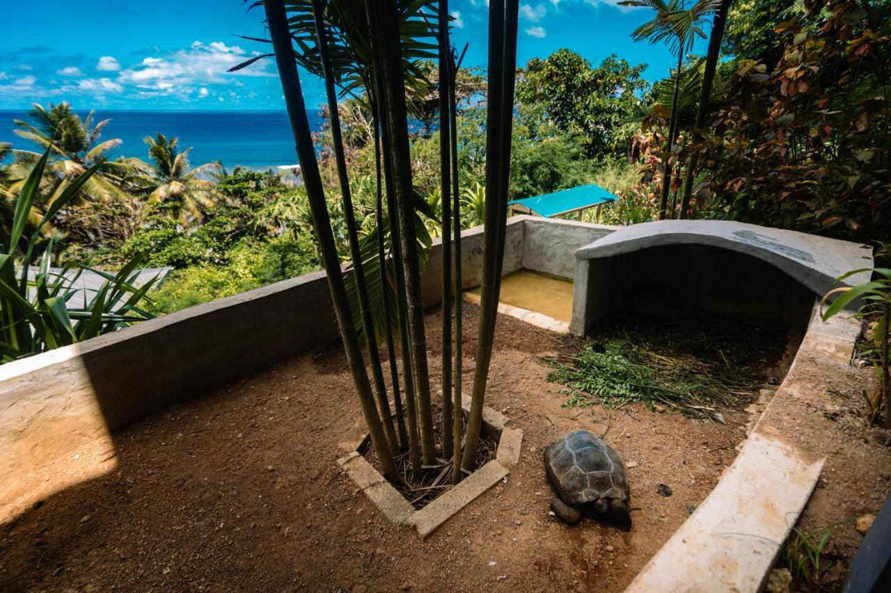 Paradise Chalets Yoga & Wellness タカマカ エクステリア 写真