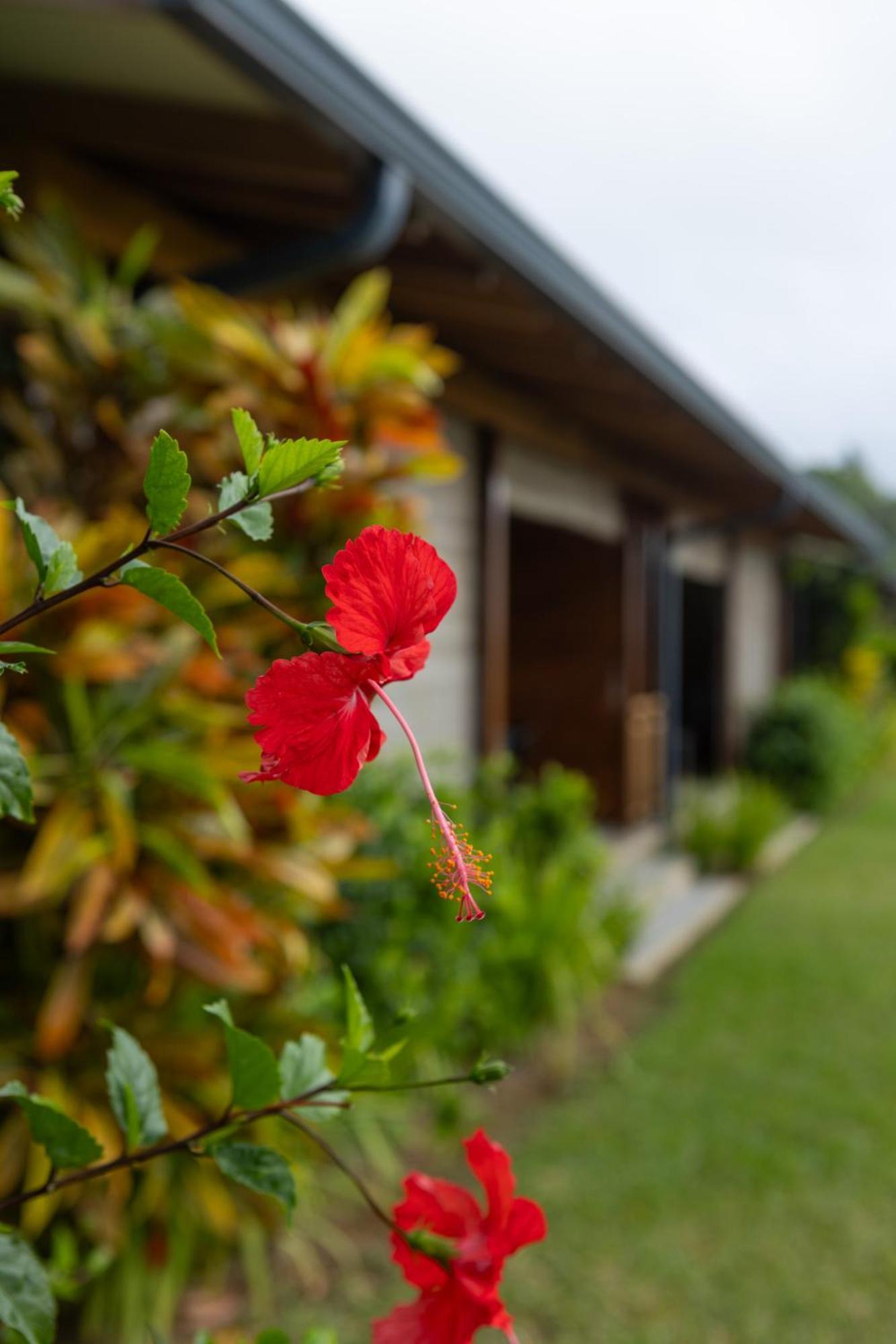 Paradise Chalets Yoga & Wellness タカマカ エクステリア 写真