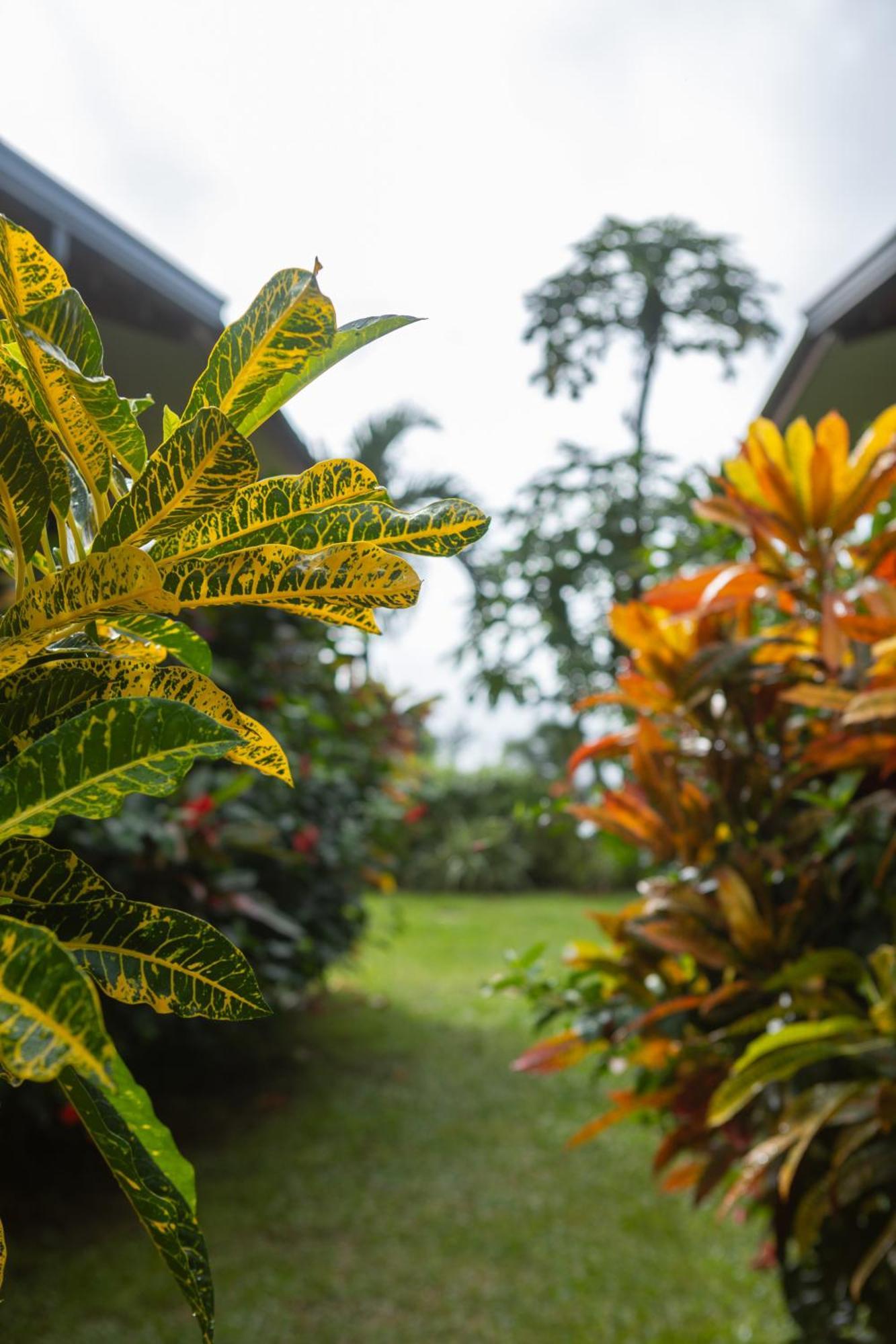 Paradise Chalets Yoga & Wellness タカマカ エクステリア 写真