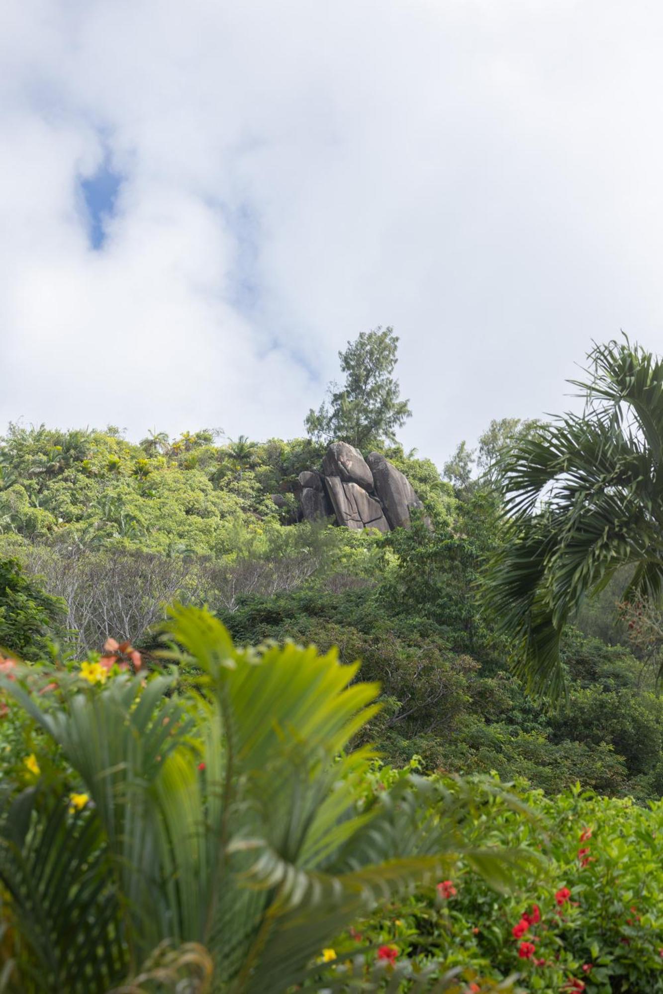 Paradise Chalets Yoga & Wellness タカマカ エクステリア 写真